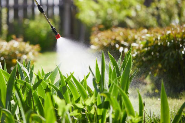 Tamper-Resistant Bait Stations for Rodents in Shelbyville