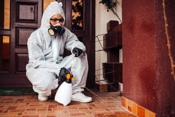 Attic and Crawl Space Rodent Treatment in Shelbyville