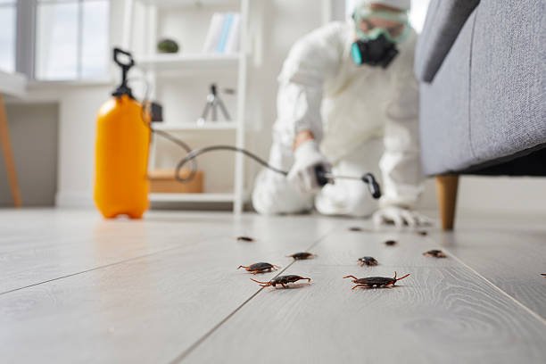 Commercial Rodent Management in Shelbyville